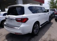 2019 Infiniti QX80 4X2 LUXE